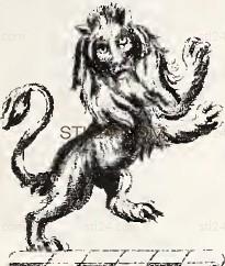 ANIMAL_0205